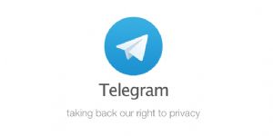 Telegram registra 1 milho de novos usurios no Brasil aps bloqueio ao WhatsApp