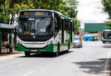 AgroFestival terá ônibus gratuitos e Parque Novo Mato Grosso ganhará linha permanente